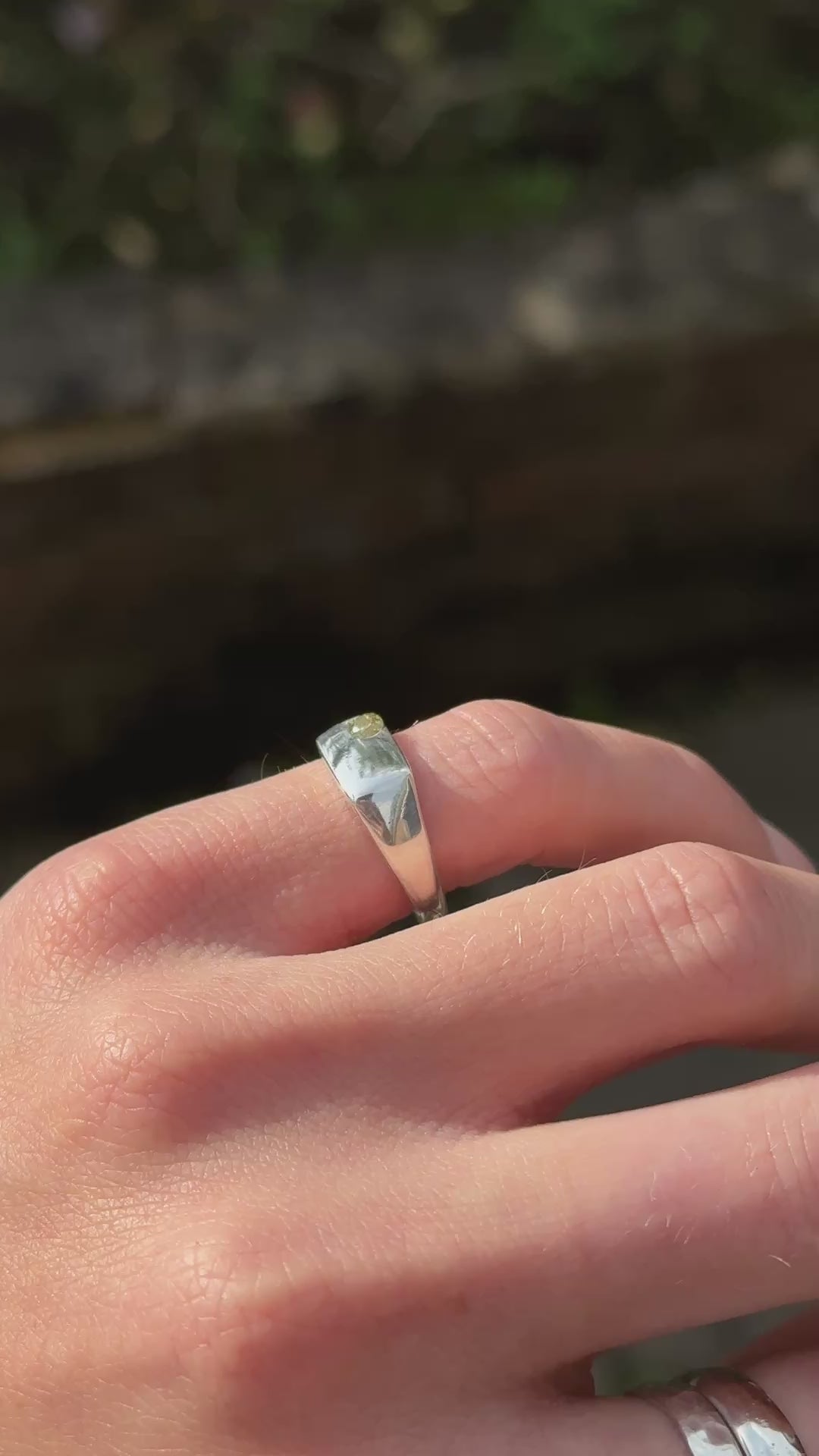 Lume Signet